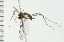  (Agathon - 08BBDIP-0900)  @11 [ ] CreativeCommons - Attribution (2008) Unspecified Centre for Biodiversity Genomics