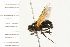 ( - 08BBDIP-0903)  @12 [ ] CreativeCommons - Attribution (2008) Unspecified Centre for Biodiversity Genomics