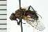  ( - 08BBDIP-0923)  @14 [ ] CreativeCommons - Attribution (2008) Unspecified Centre for Biodiversity Genomics