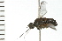  ( - 08BBDIP-0939)  @12 [ ] CreativeCommons - Attribution (2008) Unspecified Centre for Biodiversity Genomics