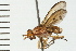  ( - 08BBDIP-0951)  @13 [ ] CreativeCommons - Attribution (2008) Unspecified Centre for Biodiversity Genomics