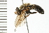  ( - 08BBDIP-1021)  @12 [ ] CreativeCommons - Attribution (2008) Unspecified Centre for Biodiversity Genomics