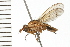  ( - 08BBDIP-1103)  @13 [ ] CreativeCommons - Attribution (2008) Unspecified Centre for Biodiversity Genomics
