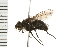  ( - 08BBDIP-1377)  @13 [ ] CreativeCommons - Attribution (2008) Unspecified Centre for Biodiversity Genomics