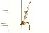  ( - 08BBDIP-1623)  @12 [ ] CreativeCommons - Attribution (2008) Unspecified Centre for Biodiversity Genomics