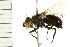  ( - 08BBDIP-1644)  @13 [ ] CreativeCommons - Attribution (2008) Unspecified Centre for Biodiversity Genomics