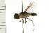  ( - 08BBDIP-1660)  @13 [ ] CreativeCommons - Attribution (2008) Unspecified Centre for Biodiversity Genomics