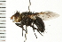  ( - 08BBDIP-1568)  @14 [ ] CreativeCommons - Attribution (2008) Unspecified Centre for Biodiversity Genomics