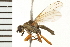  ( - 08BBDIP-1575)  @13 [ ] CreativeCommons - Attribution (2008) Unspecified Centre for Biodiversity Genomics
