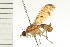  ( - 08BBDIP-1702)  @11 [ ] CreativeCommons - Attribution (2008) Unspecified Centre for Biodiversity Genomics