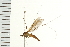  ( - 08BBDIP-1597)  @13 [ ] CreativeCommons - Attribution (2008) Unspecified Centre for Biodiversity Genomics