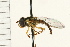  ( - 08MZPP-097)  @13 [ ] CreativeCommons - Attribution (2009) Unspecified Centre for Biodiversity Genomics