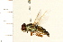  ( - 08BBDIP-1738)  @12 [ ] CreativeCommons - Attribution (2009) Unspecified Centre for Biodiversity Genomics