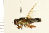  ( - 08BBDIP-1739)  @12 [ ] CreativeCommons - Attribution (2009) Unspecified Centre for Biodiversity Genomics