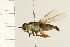  ( - 08BBDIP-1740)  @12 [ ] CreativeCommons - Attribution (2009) Unspecified Centre for Biodiversity Genomics