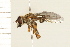 ( - 08BBDIP-1760)  @14 [ ] CreativeCommons - Attribution (2009) Unspecified Centre for Biodiversity Genomics