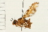 ( - 08BBDIP-1792)  @13 [ ] CreativeCommons - Attribution (2009) Unspecified Centre for Biodiversity Genomics