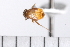  ( - WG-MISC-092)  @11 [ ] CreativeCommons - Attribution (2009) Unspecified Centre for Biodiversity Genomics