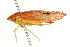  ( - HLC-17449)  @11 [ ] CreativeCommons - Attribution (2011) CBG Photography Group Centre for Biodiversity Genomics