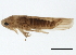  ( - BIOUG00771-G08)  @13 [ ] CreativeCommons - Attribution (2011) CBG Photography Group Centre for Biodiversity Genomics