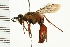  ( - LP00203)  @13 [ ] CreativeCommons - Attribution (2009) Unspecified Centre for Biodiversity Genomics