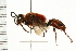  ( - LP00204)  @13 [ ] CreativeCommons - Attribution (2009) Unspecified Centre for Biodiversity Genomics