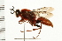  ( - LP00206)  @14 [ ] CreativeCommons - Attribution (2009) Unspecified Centre for Biodiversity Genomics