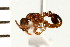  ( - LP00224)  @12 [ ] CreativeCommons - Attribution (2009) Unspecified Centre for Biodiversity Genomics