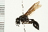  ( - LP00294)  @13 [ ] CreativeCommons - Attribution (2009) Unspecified Centre for Biodiversity Genomics