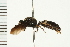  ( - LP00298)  @11 [ ] CreativeCommons - Attribution (2009) Unspecified Centre for Biodiversity Genomics