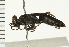  ( - LP00306)  @11 [ ] CreativeCommons - Attribution (2009) Unspecified Centre for Biodiversity Genomics