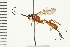  ( - LP00324)  @14 [ ] CreativeCommons - Attribution (2009) Unspecified Centre for Biodiversity Genomics
