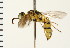  ( - LP00334)  @11 [ ] CreativeCommons - Attribution (2009) Unspecified Centre for Biodiversity Genomics