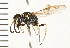  ( - LP00352)  @11 [ ] CreativeCommons - Attribution (2009) Unspecified Centre for Biodiversity Genomics