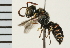  ( - LP00361)  @11 [ ] CreativeCommons - Attribution (2009) Unspecified Centre for Biodiversity Genomics