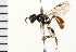  ( - LP00401)  @13 [ ] CreativeCommons - Attribution (2009) Unspecified Centre for Biodiversity Genomics