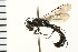  ( - LP00419)  @11 [ ] CreativeCommons - Attribution (2009) Unspecified Centre for Biodiversity Genomics