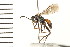  ( - LP00435)  @11 [ ] CreativeCommons - Attribution (2009) Unspecified Centre for Biodiversity Genomics