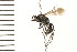  ( - LP00438)  @12 [ ] CreativeCommons - Attribution (2009) Unspecified Centre for Biodiversity Genomics