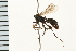  ( - LP00442)  @11 [ ] CreativeCommons - Attribution (2009) Unspecified Centre for Biodiversity Genomics