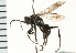  ( - LP00454)  @11 [ ] CreativeCommons - Attribution (2009) Unspecified Centre for Biodiversity Genomics