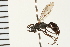  ( - LP00457)  @11 [ ] CreativeCommons - Attribution (2009) Unspecified Centre for Biodiversity Genomics