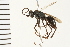  ( - LP00458)  @11 [ ] CreativeCommons - Attribution (2009) Unspecified Centre for Biodiversity Genomics
