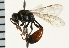  ( - LP00465)  @11 [ ] CreativeCommons - Attribution (2009) Unspecified Centre for Biodiversity Genomics