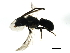  ( - 08BBHYM-0991)  @12 [ ] CreativeCommons - Attribution (2009) Unspecified Centre for Biodiversity Genomics