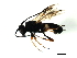  ( - 08BBHYM-0996)  @12 [ ] CreativeCommons - Attribution (2009) Unspecified Centre for Biodiversity Genomics