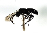  ( - 08BBHYM-1030)  @13 [ ] CreativeCommons - Attribution (2009) Unspecified Centre for Biodiversity Genomics