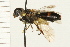  ( - HYMN 0073.02)  @13 [ ] CreativeCommons - Attribution (2008) Unspecified Centre for Biodiversity Genomics