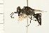  ( - HYMN 0109.02)  @13 [ ] CreativeCommons - Attribution (2008) Unspecified Centre for Biodiversity Genomics