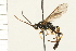  ( - HYMN 0121.02)  @14 [ ] CreativeCommons - Attribution (2008) Unspecified Centre for Biodiversity Genomics